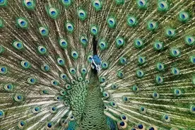 江湖失传已久的脱单秘籍，大侠请收好！图片