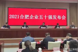 2021合肥企业50强榜单出炉图片