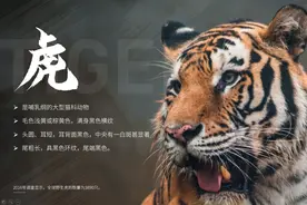 那些“不好看”的图片，在PPT中该如何处理呢图片