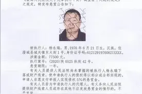 陕西省澄城县人民法院悬赏执行公告图片