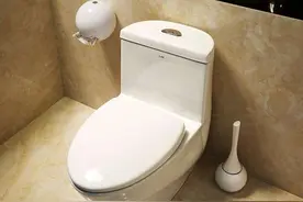 马桶上的污垢是臭味来源，见到就清理干净，卫生间再也没异味图片