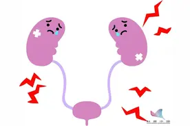 "吓尿"了！一紧张就想上厕所，是膀胱出问题了？这类人要特别注意…图片