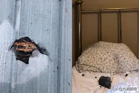 陨石掉床上！加拿大女子半夜熟睡时，一颗陨石砸穿屋顶坠落枕边图片