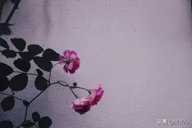一个离婚男人的感悟：再婚后再见到前妻，只有这种感觉图片