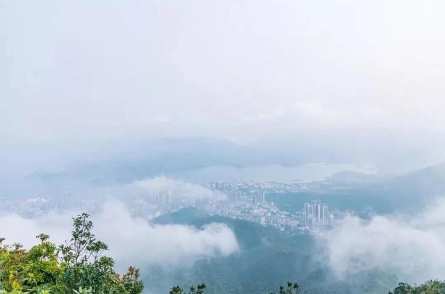 深圳值得征服的10座山，你去过几座？