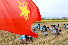 从莫言母亲拾麦穗挨打想到的图片