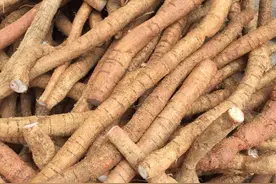 广东煲汤料，牛大力有什么功效？图片