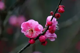 思念一个人到极致，别主动联系，做好三件事更容易吸引他图片