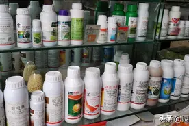 怎样使用杀虫剂更科学？图片