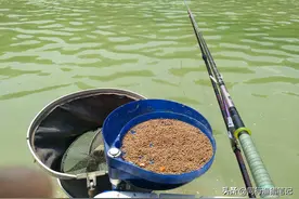 黑坑糗鱼时皮筋颗粒、秒粘颗粒、蘸麻团三种常见饵的优势及应用图片