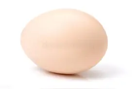 有言有味说单词（五百七十七讲）玩玩 egg 相关有趣的短语：图片