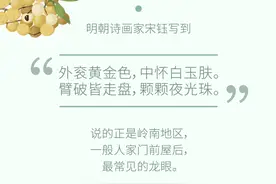 桂圆，贵缘；龙眼，好甜！三伏越热，广西越甜！图片