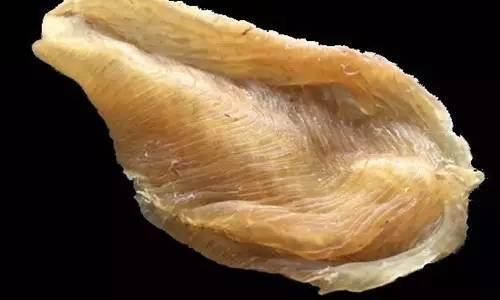 为什么花胶有沙粒 2026年为什么花胶有沙粒的味道