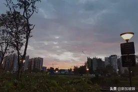 这五个关于新加坡的谜语，让大家来猜一猜图片