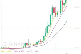 为啥有的币可以一直涨？真的是价值投资吗？图片