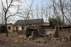 农村俗语“东高西洼富三世，老树压墙辈辈穷”，啥意思？在理吗？图片