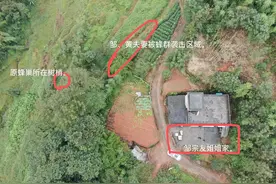 两男子不顾阻拦摘野蜂巢后，赴宴夫妻遭蜂群攻击一死一重伤获赔26万，村民曾目睹不敢贸然施救图片