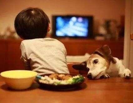 小孩偏食挑食怎么办