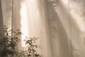 一个济宁混子的愤怒人生10图片