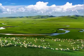 网红打卡地 | 呼伦贝尔大草原—莫尔格勒河景区图片