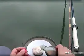 芝麻油可以钓鱼吗？面粉配芝麻油到底是王者还是青铜？图片