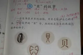 “贝”的故事教材分析和课堂笔记图片