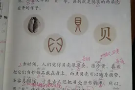 “贝”的故事教材分析和课堂笔记图片