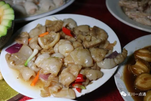 吴川有花胶吗 2026年吴川市花 吴川有花胶吗 2026年吴川市花