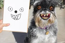 Photoshop大师把孩子的图画还原成真实的动物，生动又搞笑图片