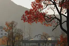 人有贵气，一眼便知，他们身上这3个特质很“惹眼”图片