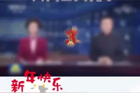 美轮美奂！盛世长安再登央视 一起欣赏西安年味夜景图片
