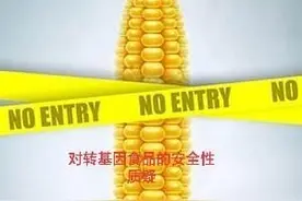 转基因农作物与传统育种的区别和对转基因食品安全质疑问题的见解图片