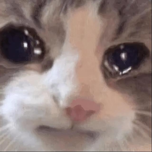 视网膜显示屏是什么意思，视网膜屏幕（这新机确实GG了）