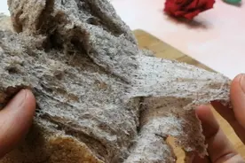 低脂无糖全麦土司面包，配方可靠0失败，柔软拉丝美味健康图片