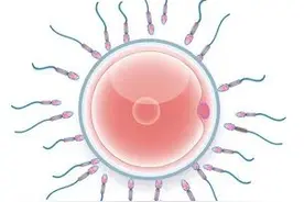 如何科学交配，进而选择性生公母？图片