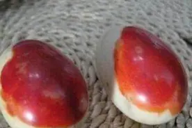 老人深山挖笋，挖出2个"带血鸡蛋"，专家看后当即开价80万买走图片