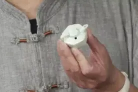 男子带袖珍“小茶壶”鉴宝，专家佩服不已，直呼你胆子真大图片
