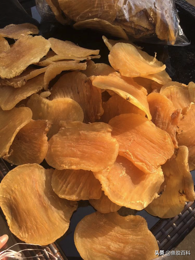 100头花胶是什么意思 100头的花胶好不好