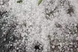 今日，好大的冰雹图片