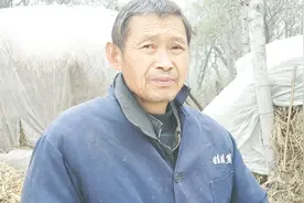 养5头牛一年赚多少钱？农村64岁养牛人说出实情，他说的是实话吗视频封面