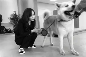 宠物鸭被杀，王珞丹愤怒发文图片