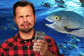 海水为什么是咸的？喝了真的会死吗？图片