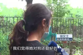 圈养流浪狗惹风波：谁动了我的狗？图片