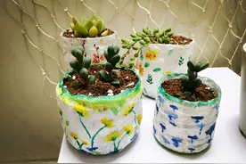 在家用这4种东西自制花盆，简单方便还好看！透气性高养花好图片