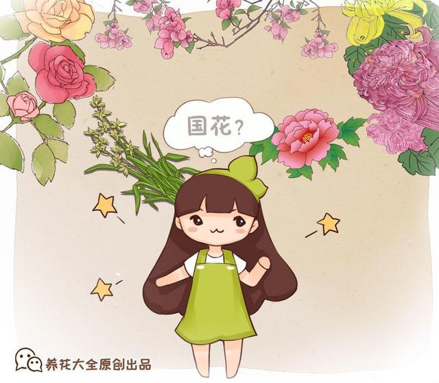 我国国花介绍（国花是牡丹这么多年）