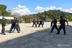 治庸·铁军丨西盟县公安局开展体能强化训练图片