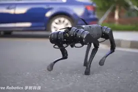 中国公司击穿价格底线：不到1万美元的机器狗，售价仅国外1/10图片