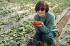 孙俪带儿女去乡下农场，手捧草莓甜笑，骑电三轮驮满车萝卜接地气图片