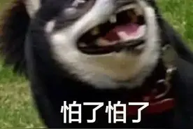 注意！昌平这些地方将停水、停电，快看有没有你家？图片