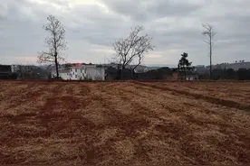 1500元在这可以租1年房，在深圳不够1月，但想租到老，都难图片